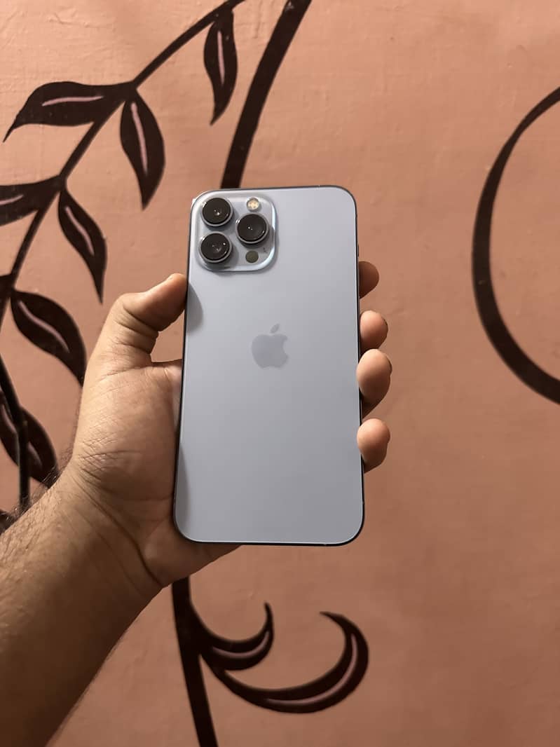 Apple iPhone 13 Pro Max 1