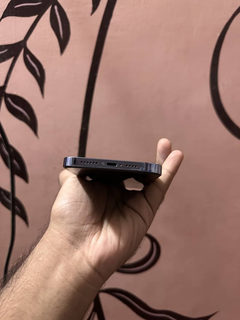 Apple iPhone 13 Pro Max 3