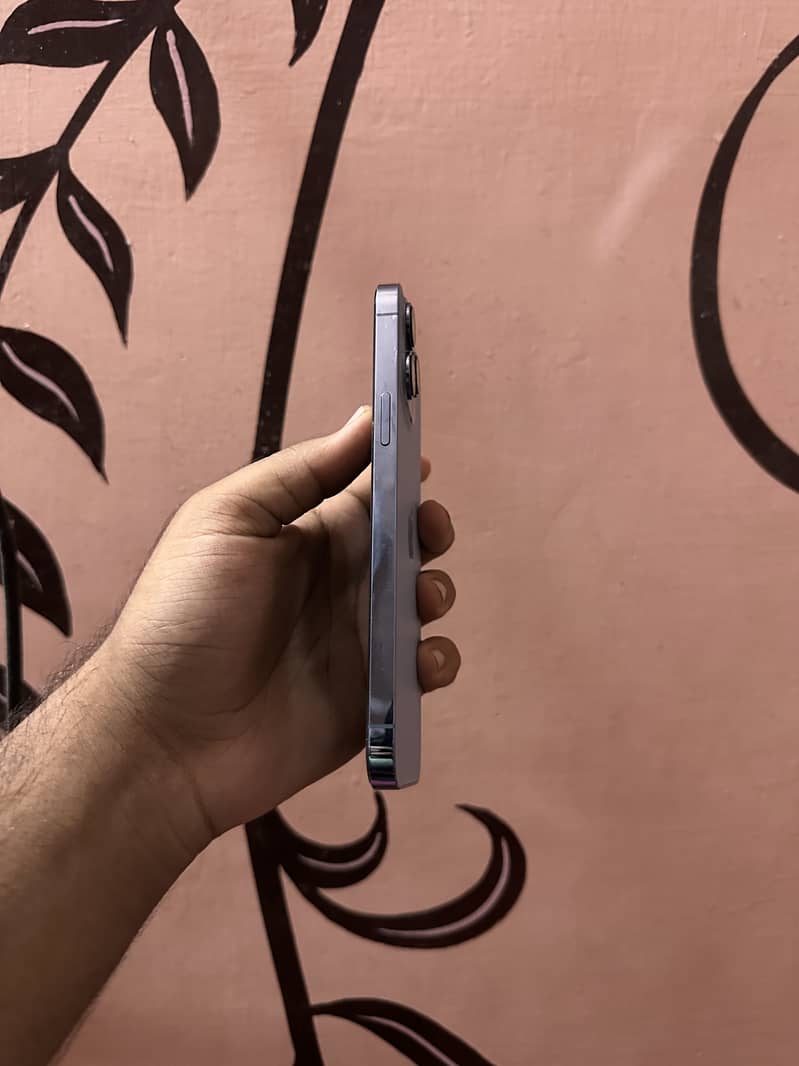 Apple iPhone 13 Pro Max 5