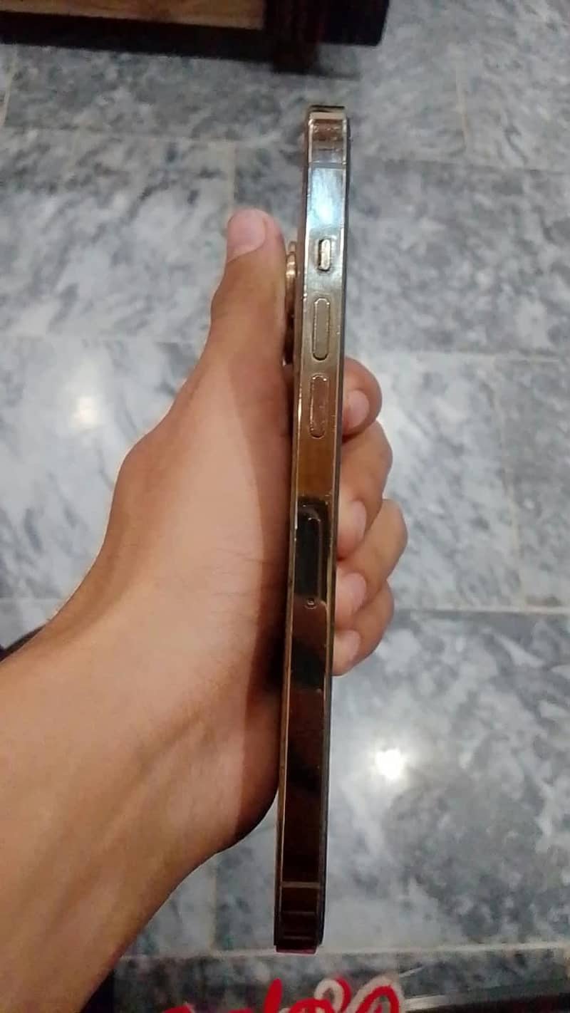 iphone 12 pro mex 1
