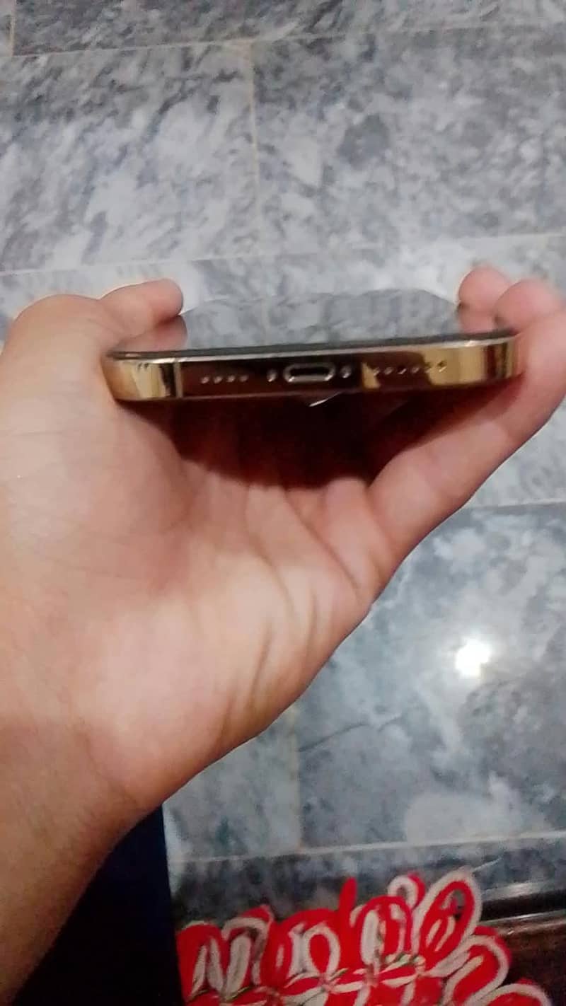 iphone 12 pro mex 2