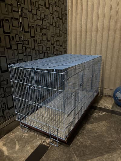 Cage for Cat and birds.