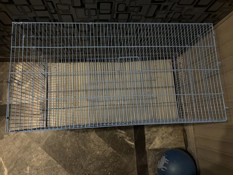 Cage for Cat and birds. — photo 2