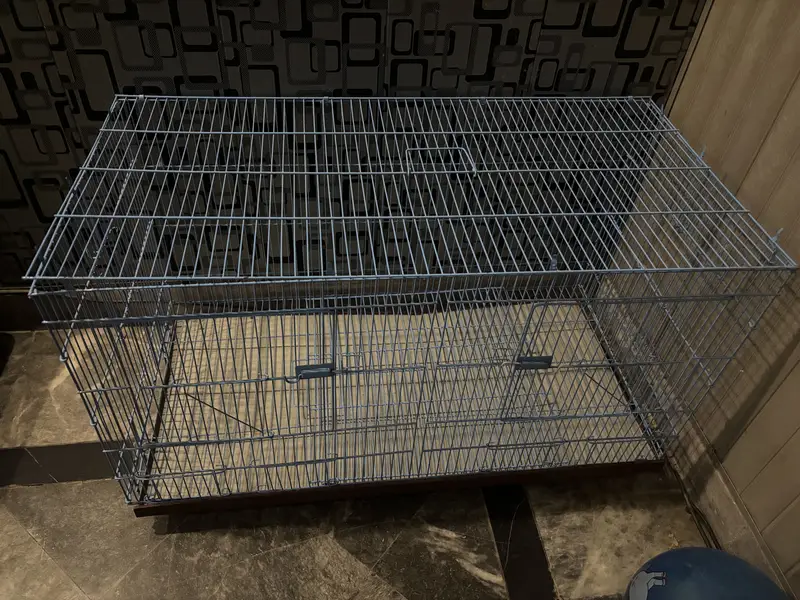 Cage for Cat and birds. — photo 3