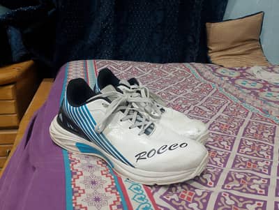 AS sports Rocco edition cricket gripper available 10 by 10 condition