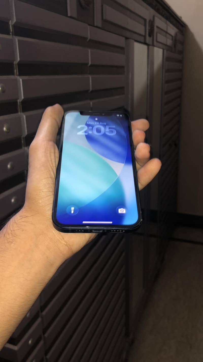 Apple iPhone 12 1