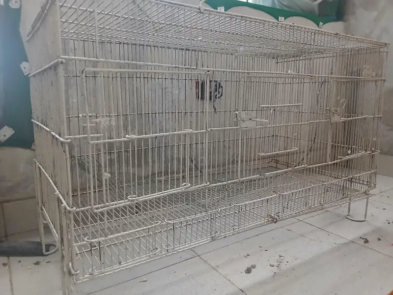 Master cage. It has many different small and large doors. — photo 2
