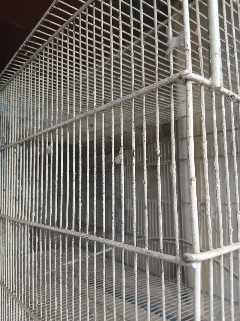 Master cage. It has many different small and large doors. — photo 3