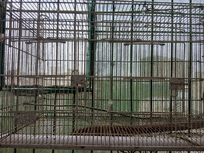 Master cage. It has many different small and large doors. — photo 4