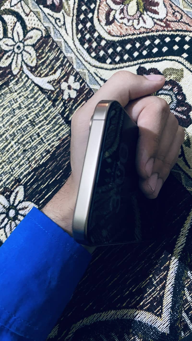 Apple iPhone 16 Pro Max 2
