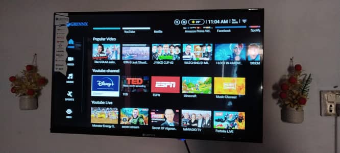Greenx LED tv