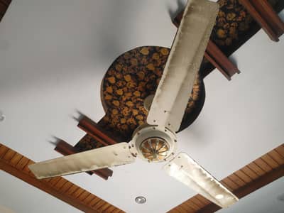 3 Ceiling Fans Available
