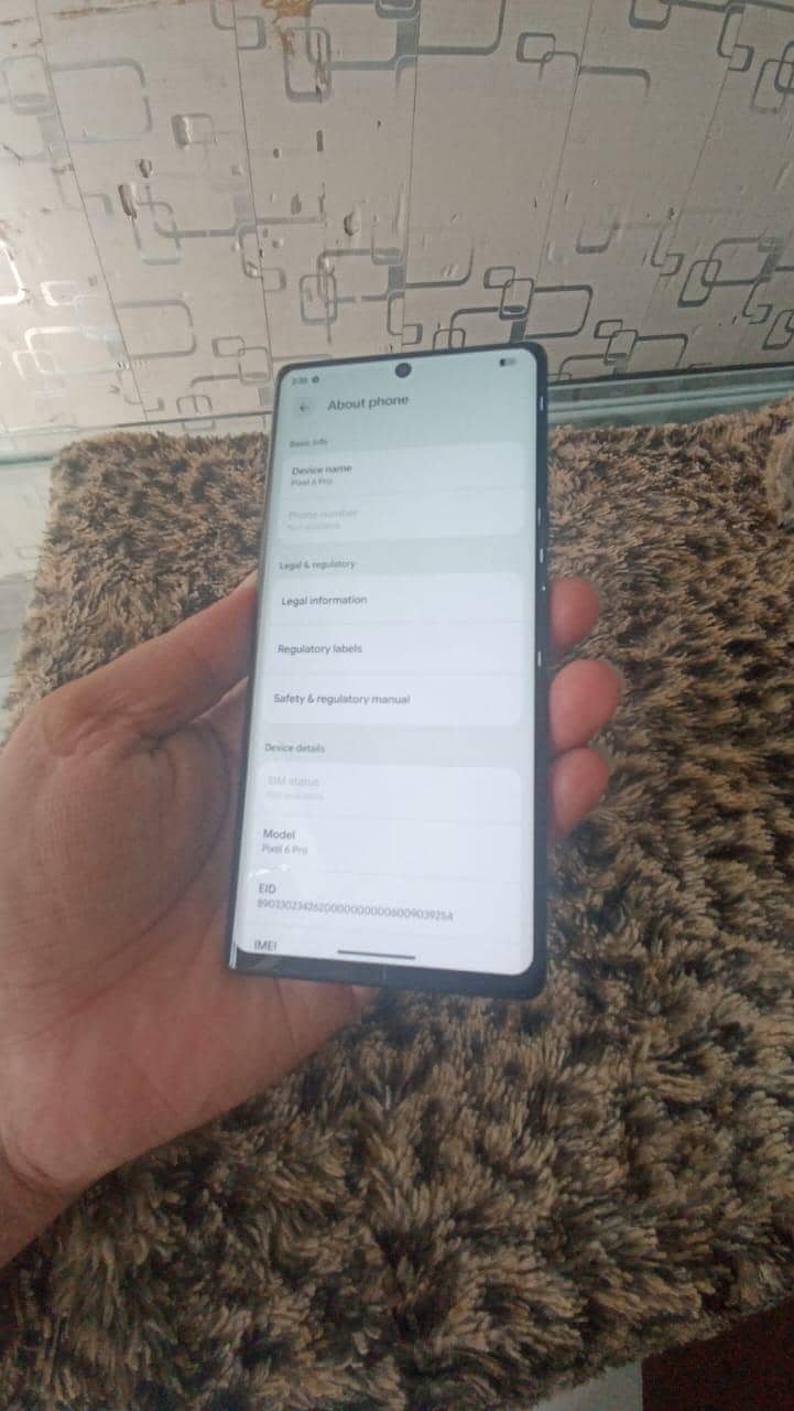 Google Pixel 6 Pro 1