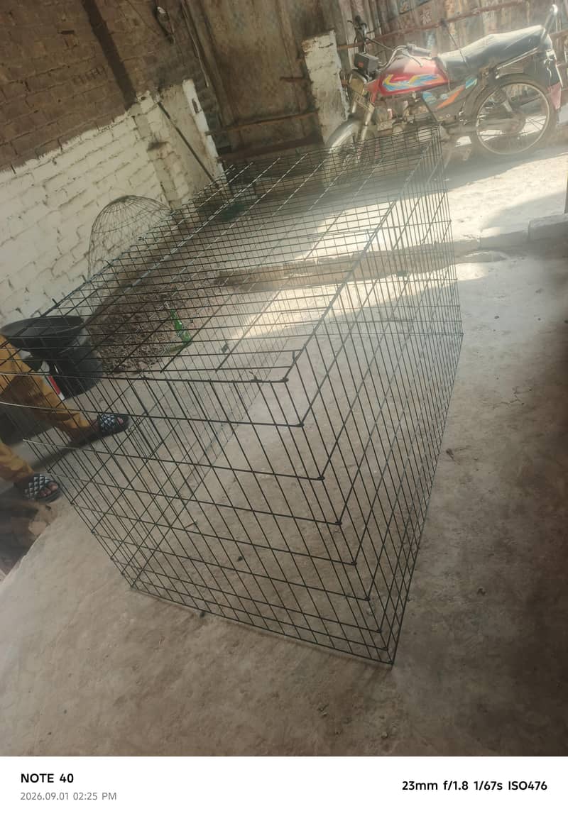 folding cage 3