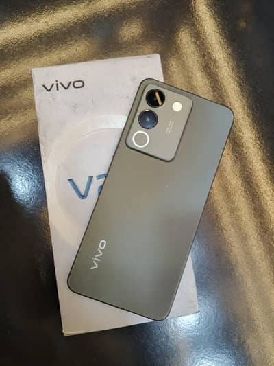 Vivo V29e 8/256