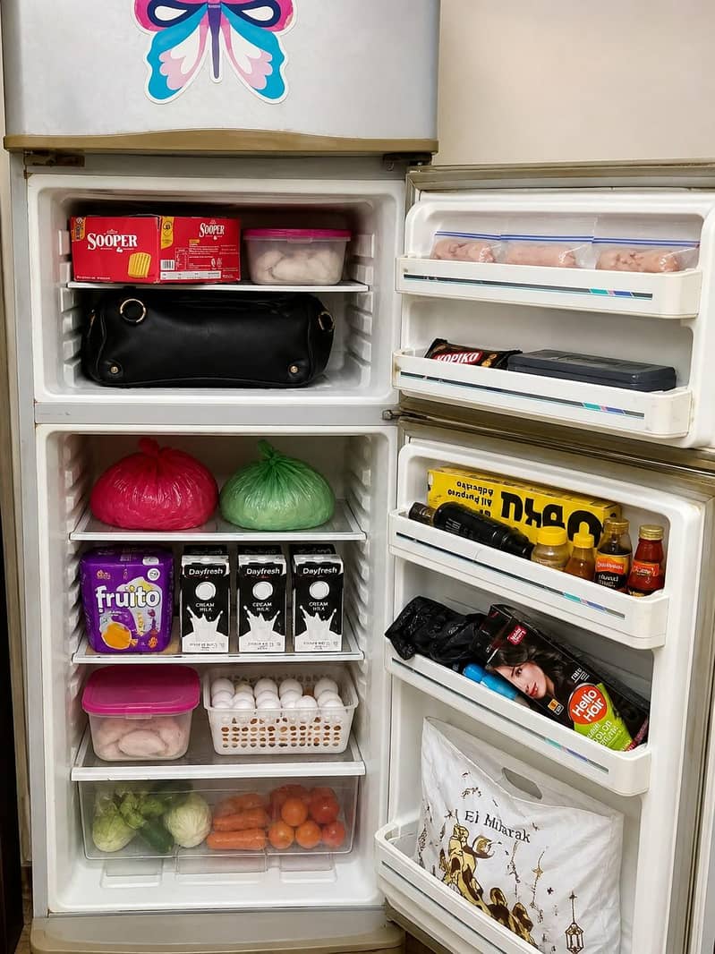 refrigerator 3