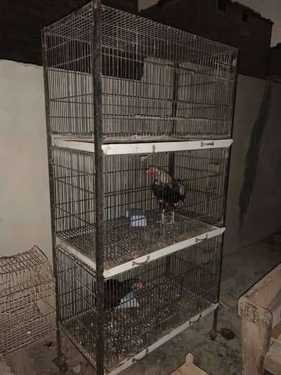 cage pinjra full size