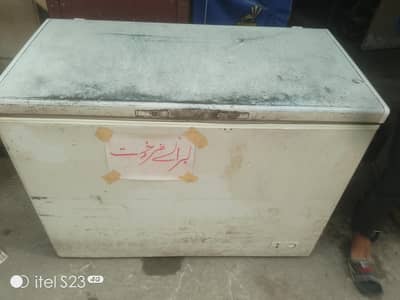 D Freezer