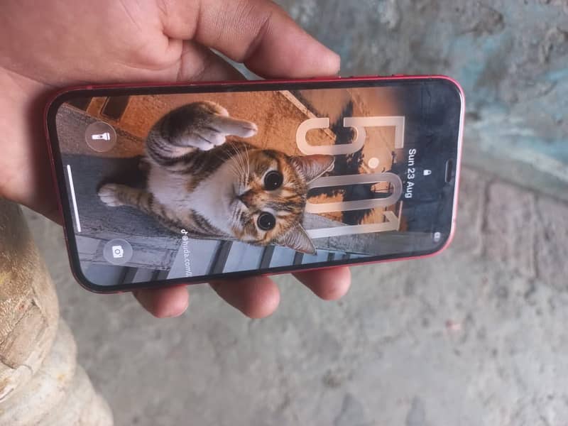 Apple iPhone 12 2
