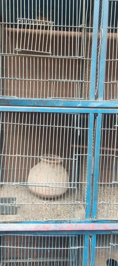 Bird cage for sale