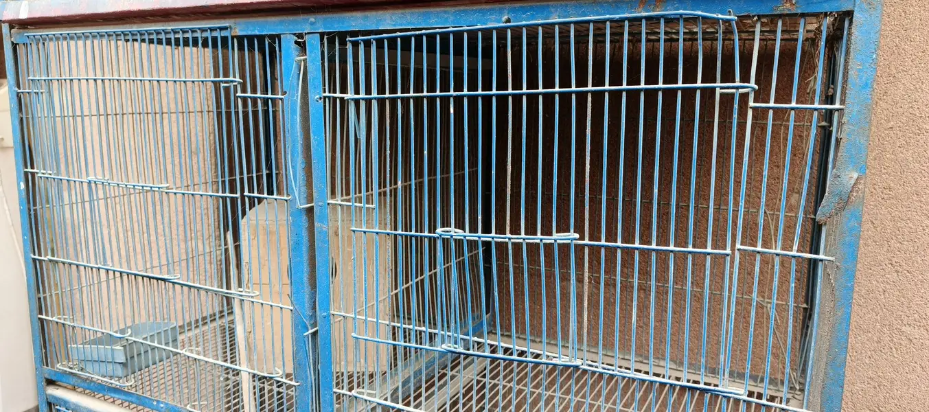 Bird cage for sale — photo 3
