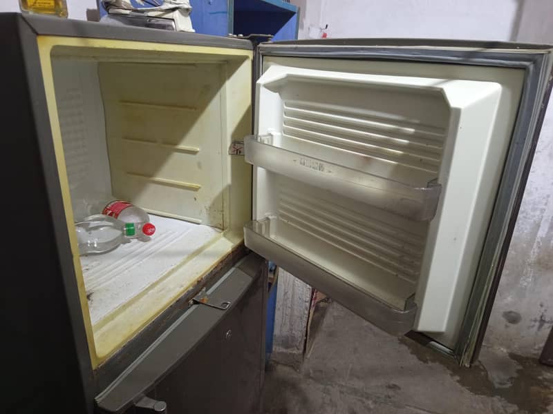 frige medium size 3