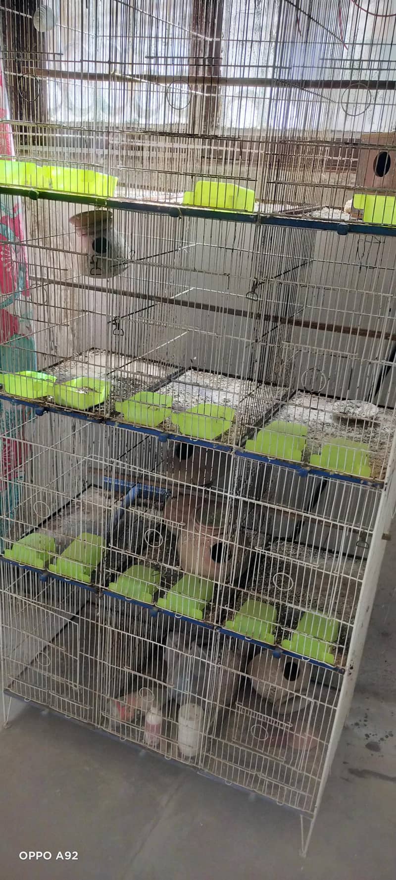 12 cages 0