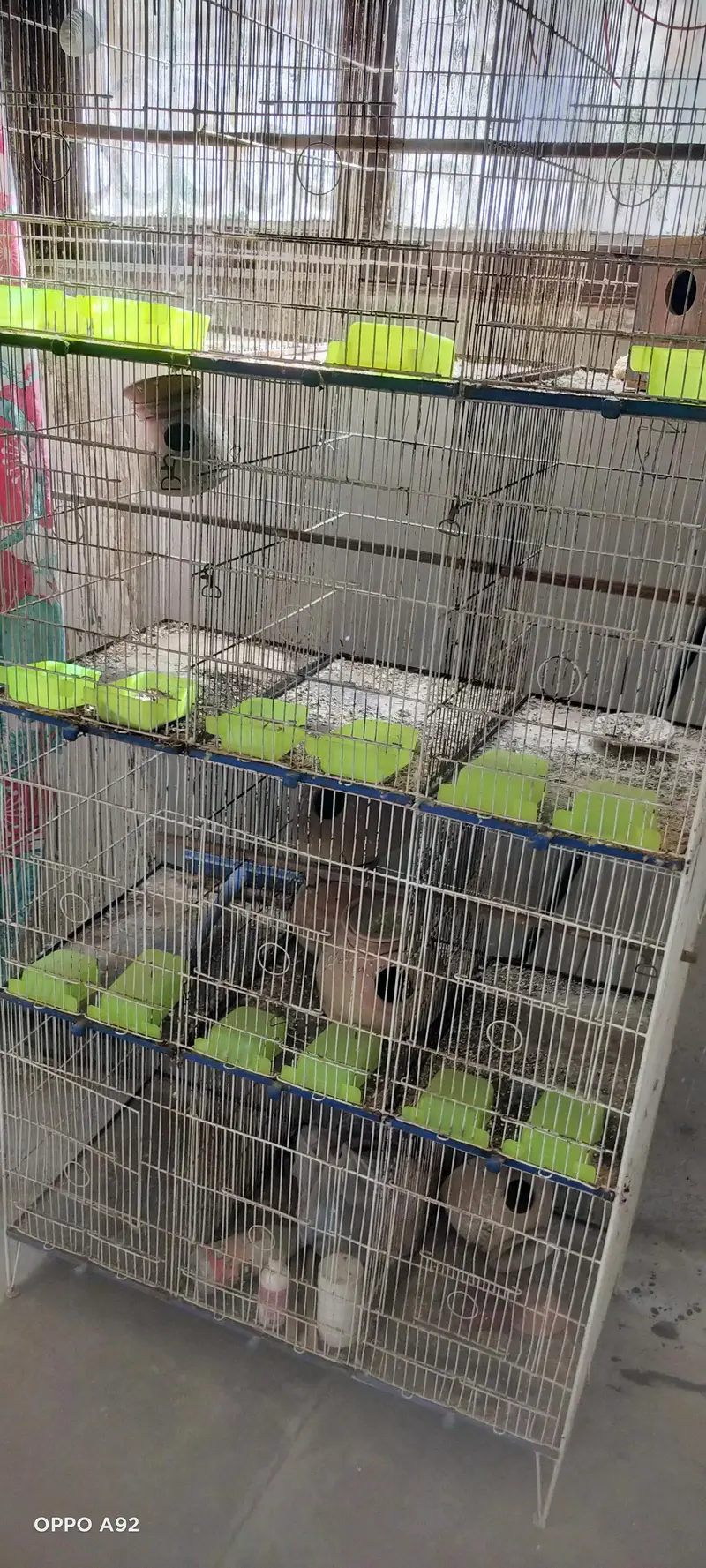 12 cages