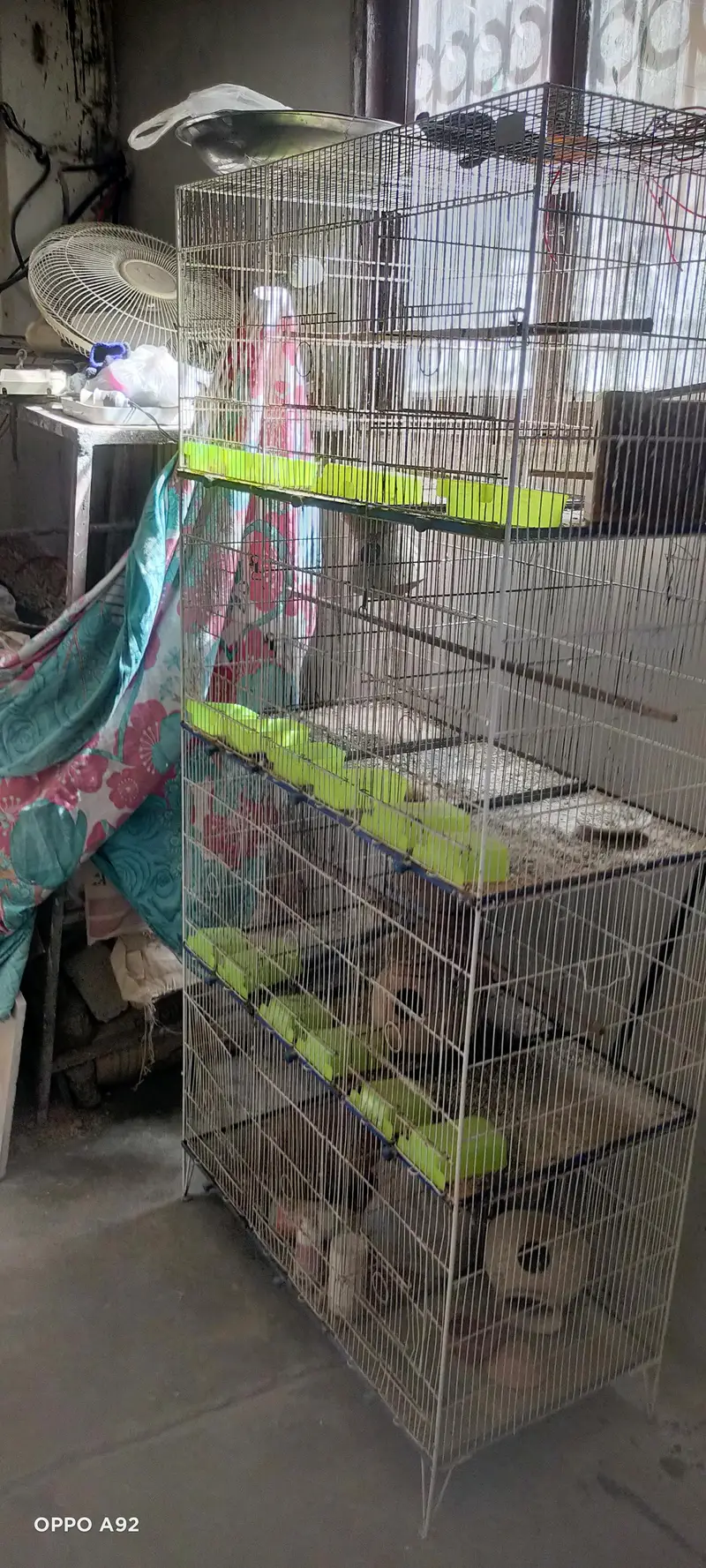 12 cages — photo 2