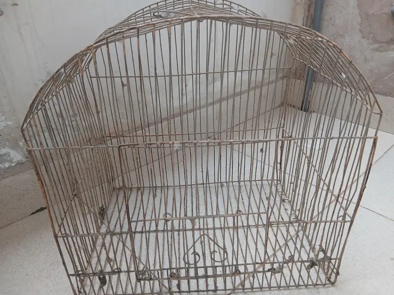 Master cage. It has many different small and large doors. — photo 5