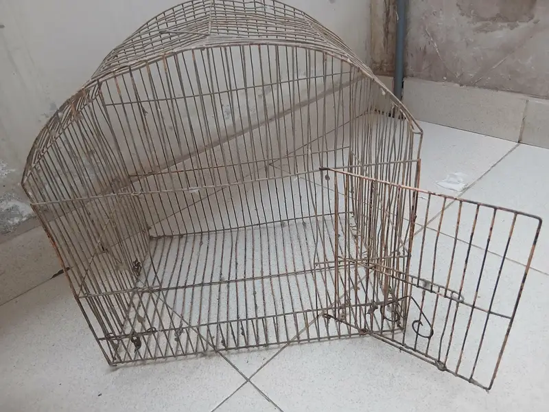 Master cage. It has many different small and large doors. — photo 6