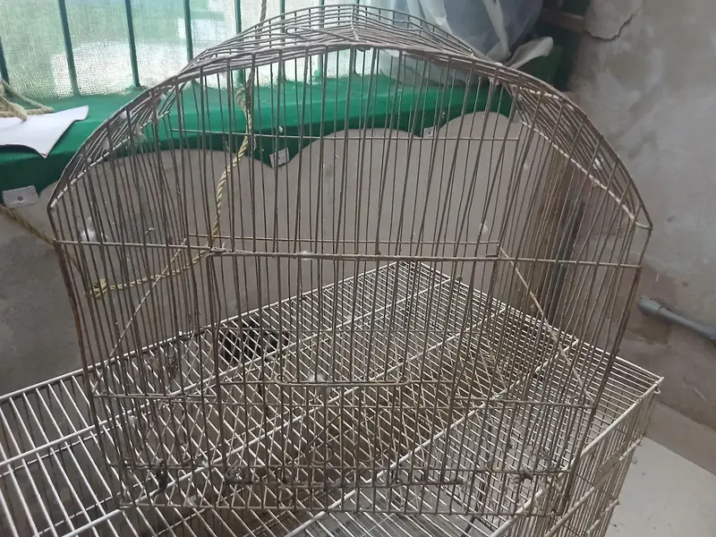 Master cage. It has many different small and large doors. — photo 7