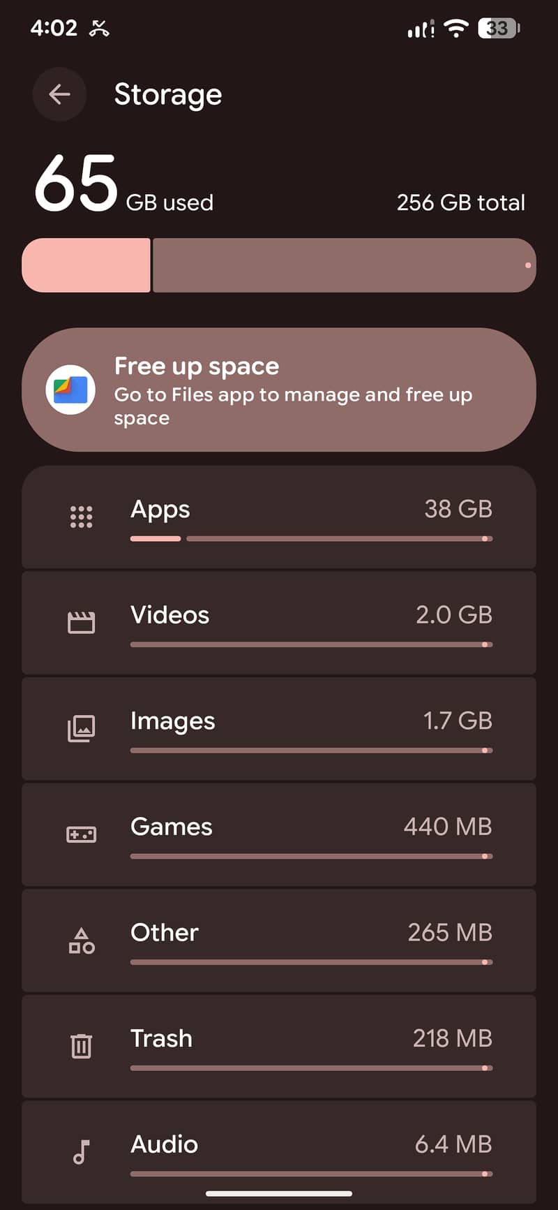 Google Pixel 6 Pro 1