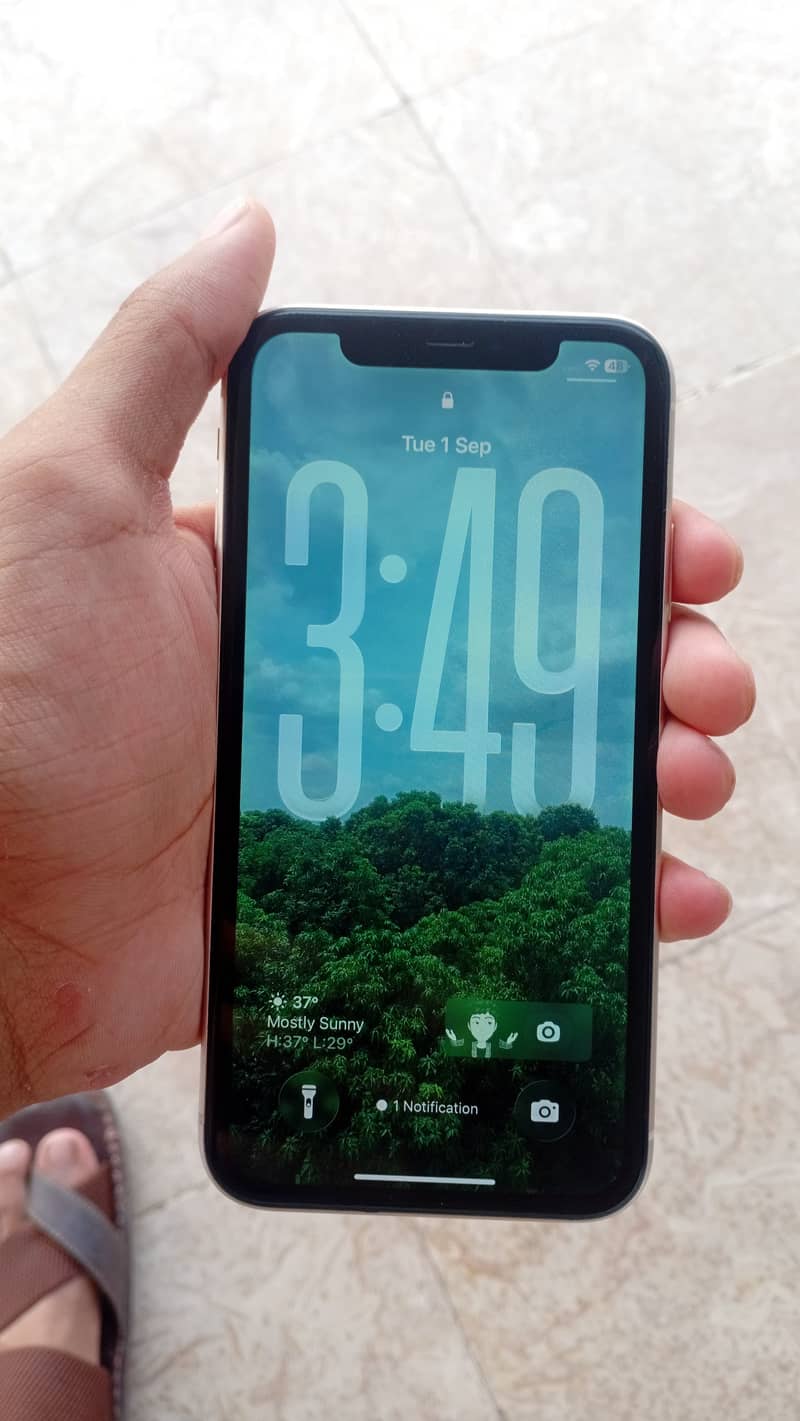 Apple iPhone 11 0