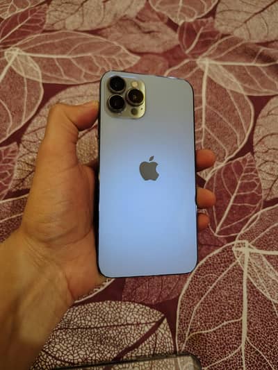 Apple iPhone X Converted into 13 Pro