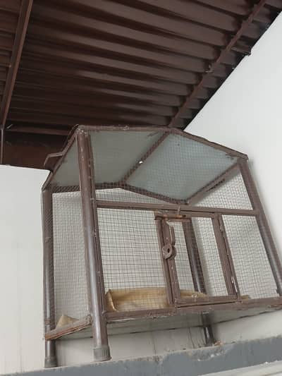 beautiful cage for sle
