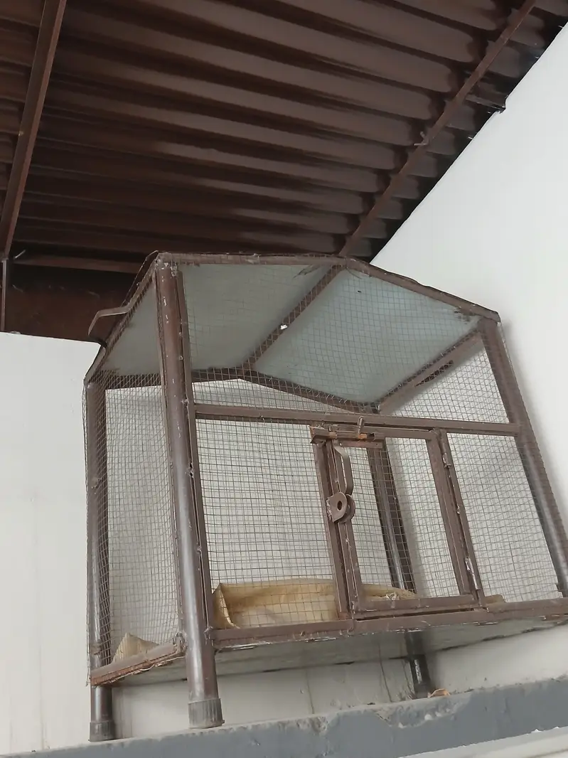 beautiful cage for sle