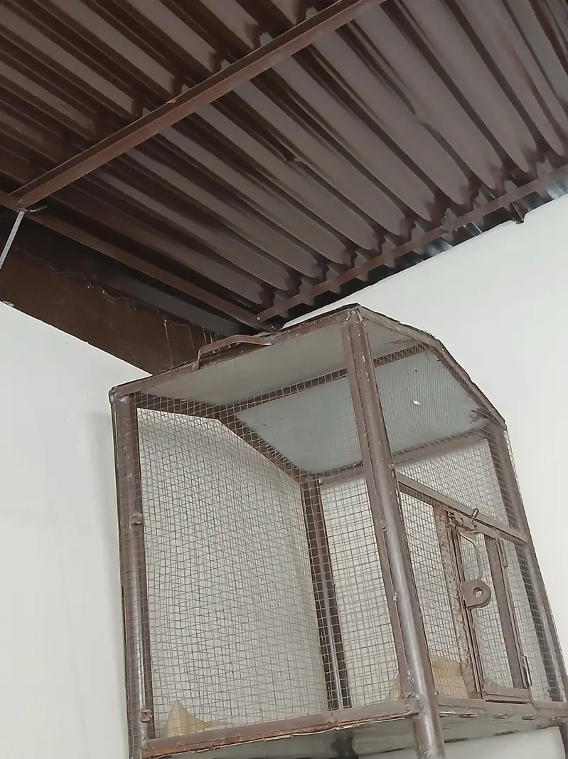 beautiful cage for sle — photo 2