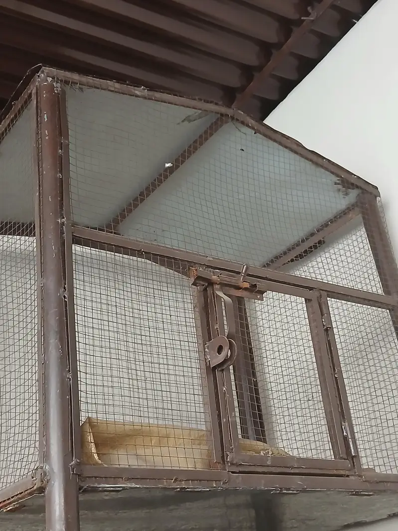 beautiful cage for sle — photo 3