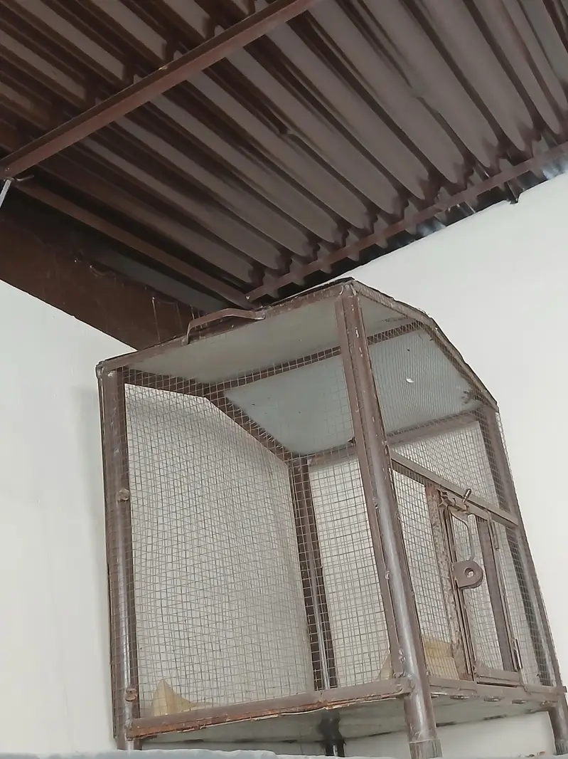 beautiful cage for sle — photo 4