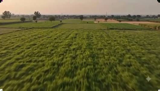 Lahore Organic Farms Society Located on Main Barki Road, Lahore.