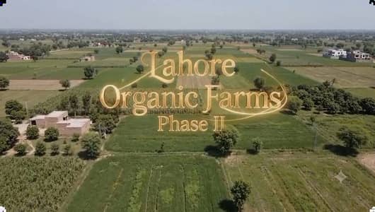 Lahore Organic Farms Society Located on Main Barki Road, Lahore.