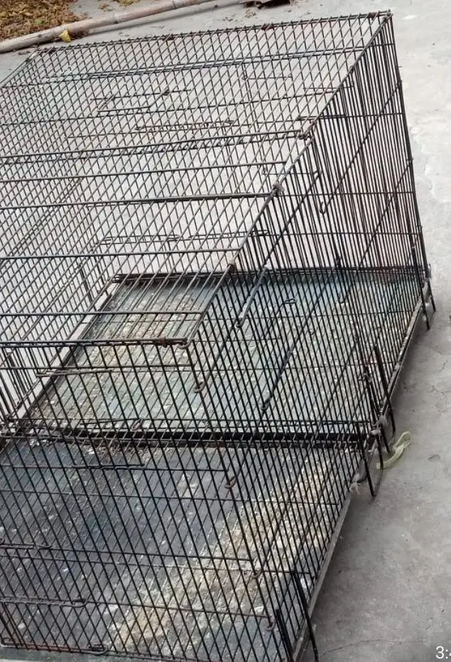 moti wire cage available for birds total 8