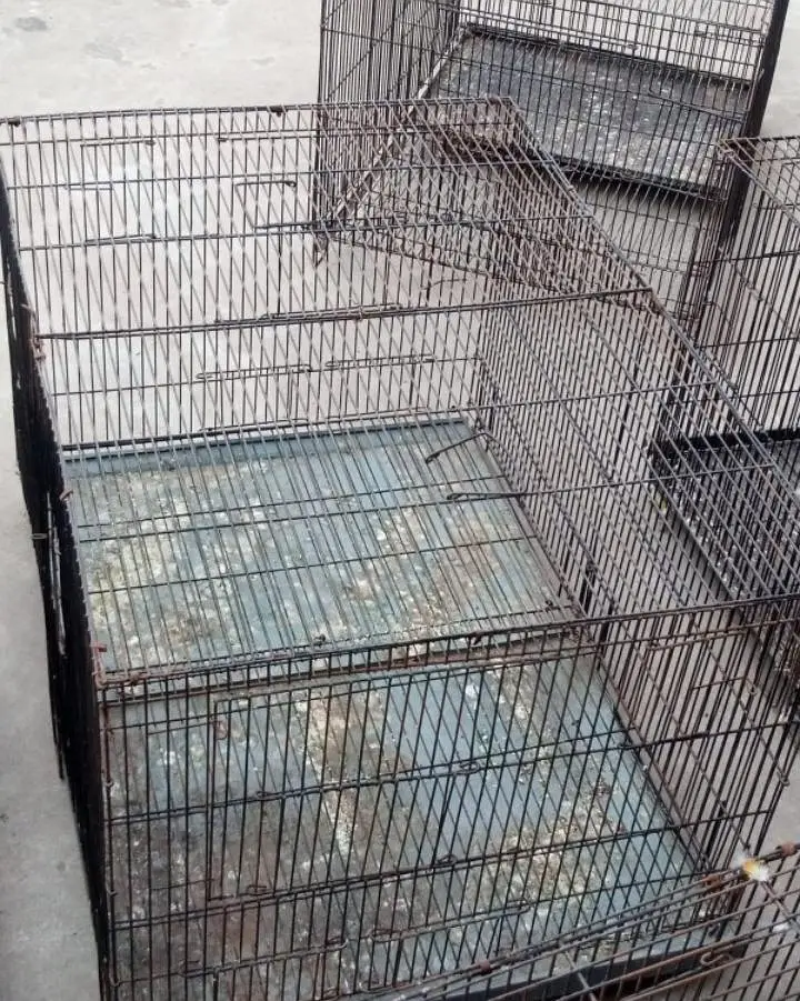 moti wire cage available for birds total 8 — photo 2