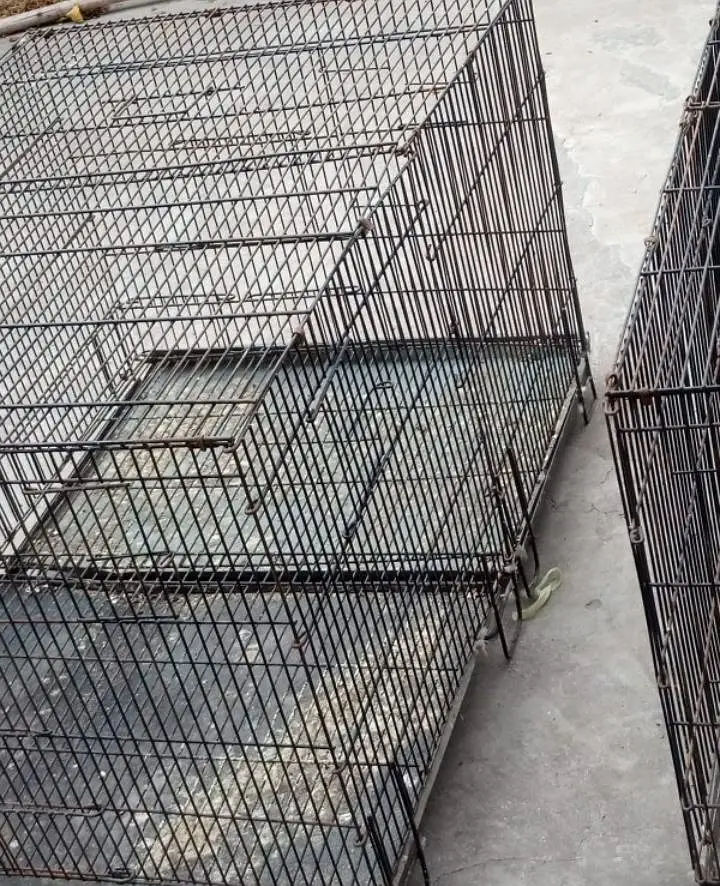 moti wire cage available for birds total 8 — photo 3
