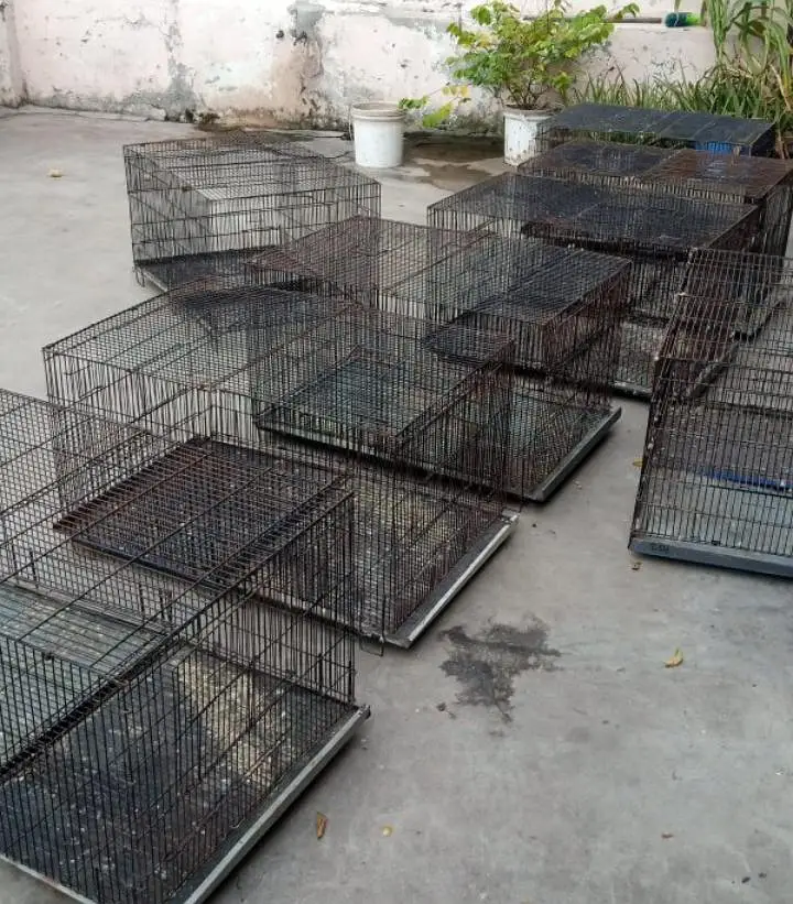 moti wire cage available for birds total 8 — photo 4