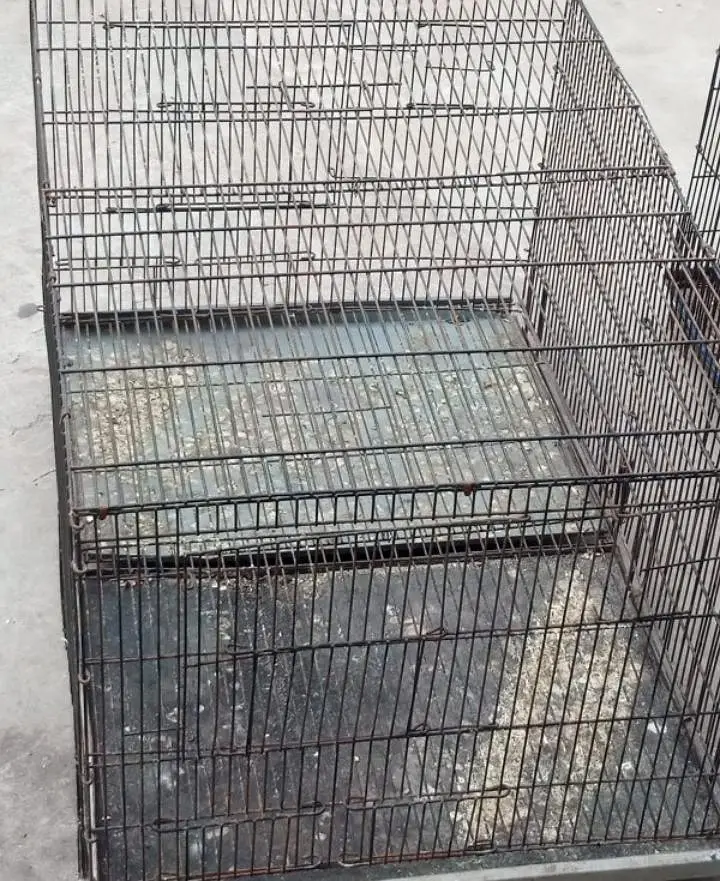 moti wire cage available for birds total 8 — photo 5