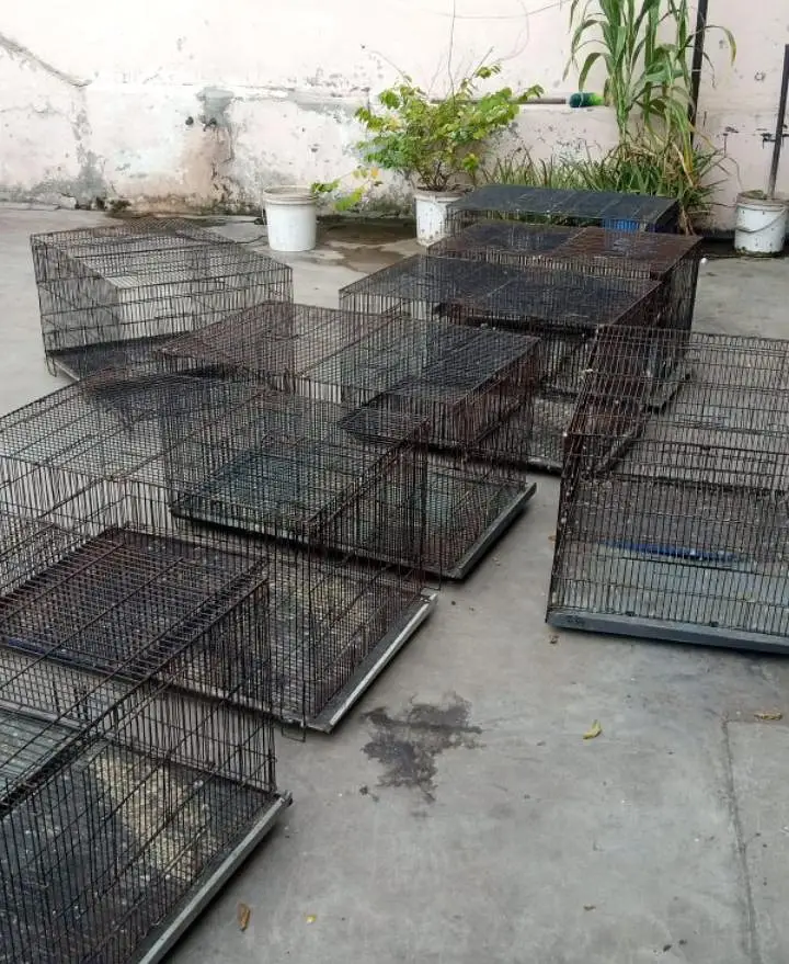 moti wire cage available for birds total 8 — photo 6