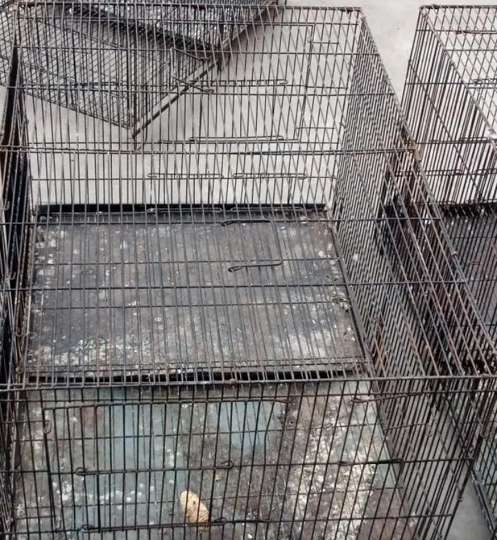 moti wire cage available for birds total 8 — photo 7