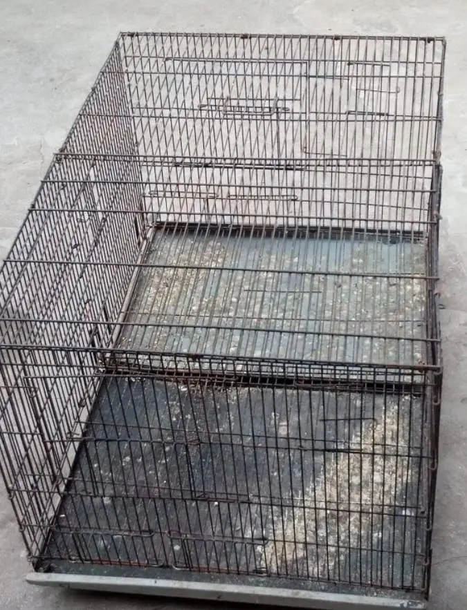 moti wire cage available for birds total 8 — photo 8